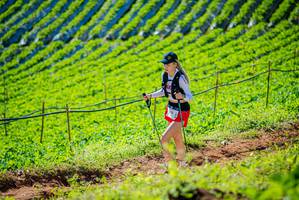 BIB: 
                            <button type="button" onclick="openModal(19161579)" class="btn btn-primary btn-sm float-right btn-popup" data-toggle="modal" data-target=".modal-high-quality">
                        <i class="fas fa-shopping-cart"></i> Add to Cart
                    </button>
                                            <button type="button" onclick="isThisMe(19161579, true)" class="btn btn-success btn-sm float-right btn-popup btn-isme hidden" data-toggle="tooltip" data-placement="bottom" title="นี่คือรูปของคุณใช่ไหม คลิกที่นี่เพื่อเอาเข้าอัลบั้ม">
                        <i class="fas fa-plus"></i> Add to album
                    </button>
                    <button type="button" onclick="isThisMe(19161579, false)" class="btn btn-warning btn-sm float-right btn-popup btn-isnotme hidden">
                        <i class="fas fa-ban"></i> Remove from album
                    </button>